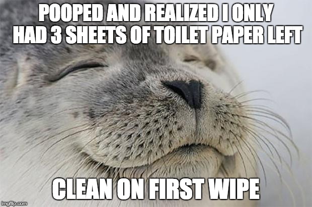 Satisfied Seal Meme | POOPED AND REALIZED I ONLY HAD 3 SHEETS OF TOILET PAPER LEFT CLEAN ON FIRST WIPE | image tagged in memes,satisfied seal | made w/ Imgflip meme maker