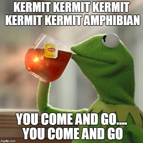 But That's None Of My Business | KERMIT KERMIT KERMIT KERMIT KERMIT AMPHIBIAN YOU COME AND GO.... YOU COME AND GO | image tagged in memes,but thats none of my business,kermit the frog,culture club,kharma chameleon | made w/ Imgflip meme maker