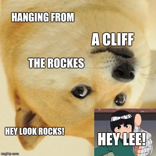 Doge | HANGING FROM A CLIFF THE ROCKES HEY LOOK ROCKS! HEY LEE! | image tagged in memes,doge | made w/ Imgflip meme maker