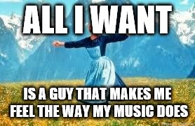 Look At All These Meme | ALL I WANT IS A GUY THAT MAKES ME FEEL THE WAY MY MUSIC DOES | image tagged in memes,look at all these | made w/ Imgflip meme maker