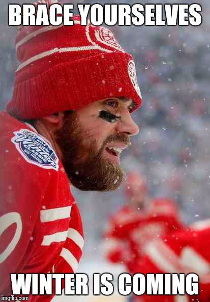 BRACE YOURSELVES WINTER IS COMING | image tagged in detroit red wings,zetterberg nhl hockey detroit redwings comeback awesome | made w/ Imgflip meme maker