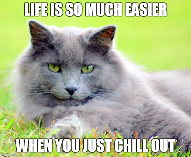 Chill | LIFE IS SO MUCH EASIER WHEN YOU JUST CHILL OUT | image tagged in cat,chill,out,relax | made w/ Imgflip meme maker