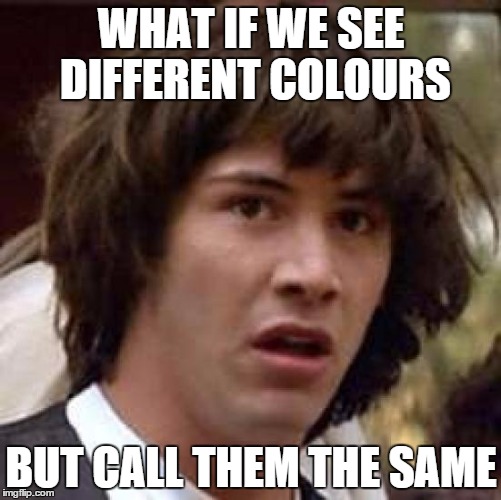 what if we see different colours, but call them the same | WHAT IF WE SEE DIFFERENT COLOURS BUT CALL THEM THE SAME | image tagged in memes,conspiracy keanu | made w/ Imgflip meme maker