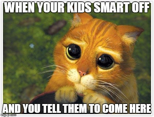 Shrek Cat | WHEN YOUR KIDS SMART OFF AND YOU TELL THEM TO COME HERE | image tagged in memes,shrek cat | made w/ Imgflip meme maker