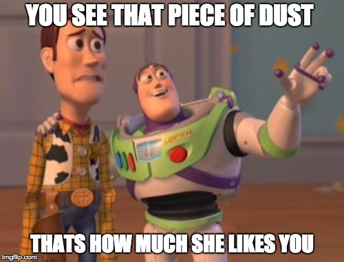X, X Everywhere | YOU SEE THAT PIECE OF DUST THATS HOW MUCH SHE LIKES YOU | image tagged in memes,x x everywhere | made w/ Imgflip meme maker