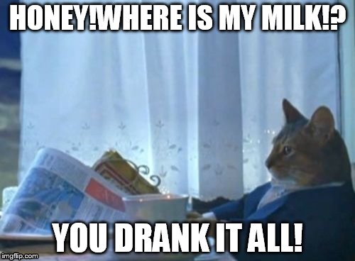I Should Buy A Boat Cat | HONEY!WHERE IS MY MILK!? YOU DRANK IT ALL! | image tagged in memes,i should buy a boat cat | made w/ Imgflip meme maker