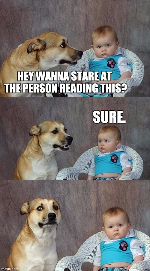 Dad Joke Dog | HEY WANNA STARE AT THE PERSON READING THIS? SURE. | image tagged in memes,dad joke dog | made w/ Imgflip meme maker