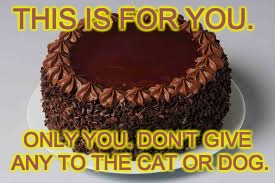 THIS IS FOR YOU. ONLY YOU. DON'T GIVE ANY TO THE CAT OR DOG. | image tagged in chocolate cake | made w/ Imgflip meme maker