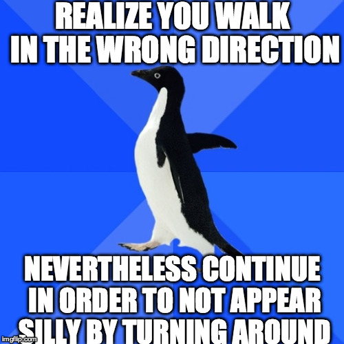 pinguin | REALIZE YOU WALK IN THE WRONG DIRECTION NEVERTHELESS CONTINUE IN ORDER TO NOT APPEAR SILLY BY TURNING AROUND | image tagged in pinguin | made w/ Imgflip meme maker