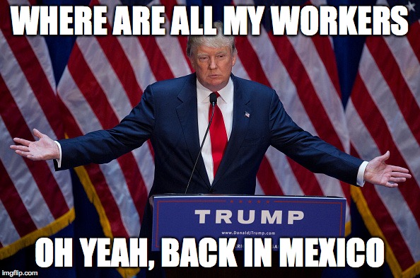 Donald Trump | WHERE ARE ALL MY WORKERS OH YEAH, BACK IN MEXICO | image tagged in donald trump | made w/ Imgflip meme maker