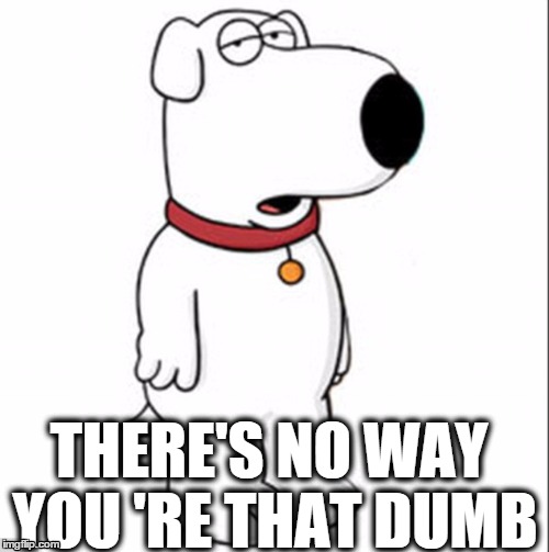 Brian the Dog | THERE'S NO WAY YOU'RE THAT DUMB | image tagged in family guy,family guy brian,family guy face palm,brian griffin,face palm | made w/ Imgflip meme maker