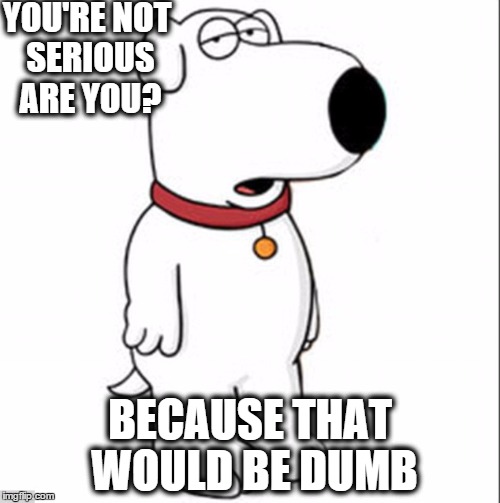 Brian the Dog | YOU'RE NOT SERIOUS ARE YOU? BECAUSE THAT WOULD BE DUMB | image tagged in family guy,family guy brian,brian griffin,dumb,seriously | made w/ Imgflip meme maker