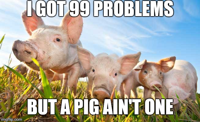 Pigs | I GOT 99 PROBLEMS BUT A PIG AIN'T ONE | image tagged in pigs | made w/ Imgflip meme maker