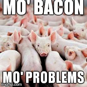 Pigs | MO' BACON MO' PROBLEMS | image tagged in pigs | made w/ Imgflip meme maker