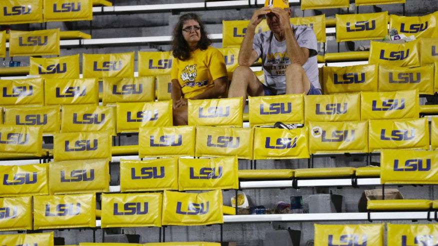 LSU fans Blank Meme Template