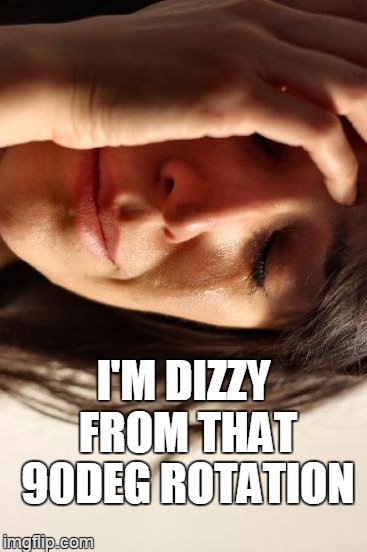 1/4 flip | I'M DIZZY FROM THAT 90DEG ROTATION | image tagged in memes,first world problems | made w/ Imgflip meme maker