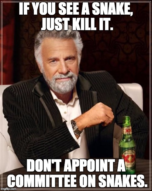 The Most Interesting Man In The World Meme | IF YOU SEE A SNAKE, JUST KILL IT. DON'T APPOINT A COMMITTEE ON SNAKES. | image tagged in memes,the most interesting man in the world | made w/ Imgflip meme maker