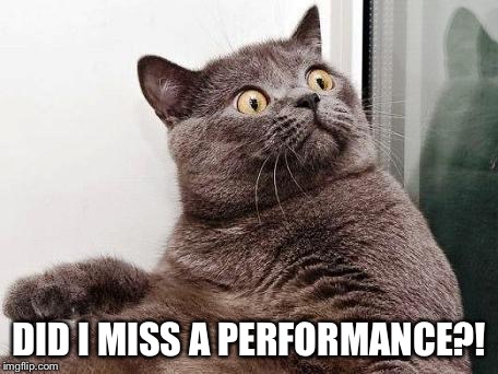 surprised cat | DID I MISS A PERFORMANCE?! | image tagged in surprised cat | made w/ Imgflip meme maker