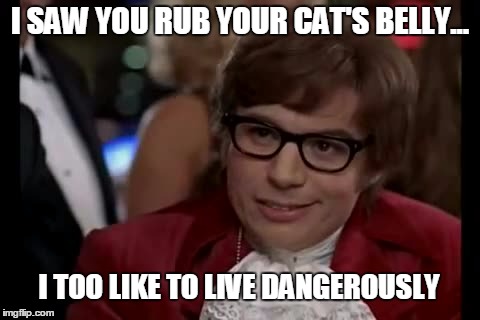 I Too Like To Live Dangerously | I SAW YOU RUB YOUR CAT'S BELLY... I TOO LIKE TO LIVE DANGEROUSLY | image tagged in memes,i too like to live dangerously | made w/ Imgflip meme maker