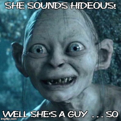 Gollum Meme | SHE SOUNDS HIDEOUS! WELL SHE'S A GUY  . . . SO | image tagged in memes,gollum | made w/ Imgflip meme maker