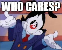 NO ONE!  | WHO CARES? | image tagged in animaniacs | made w/ Imgflip meme maker