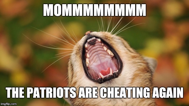 Cheating patriots | image tagged in patriots,new england,new england patriots,cheaters,tom brady | made w/ Imgflip meme maker