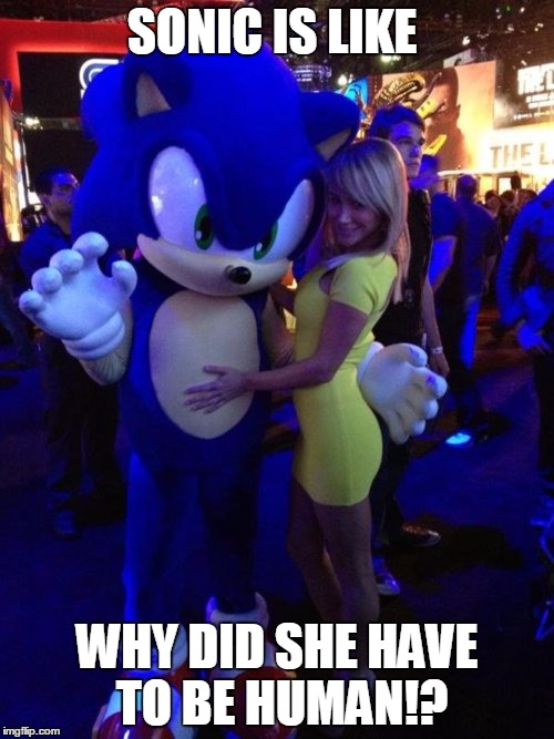 WHY | SONIC IS LIKE WHY DID SHE HAVE TO BE HUMAN!? | image tagged in sonic the hedgehog | made w/ Imgflip meme maker