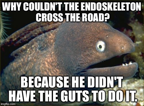Bad Joke Eel Meme | WHY COULDN'T THE ENDOSKELETON CROSS THE ROAD? BECAUSE HE DIDN'T HAVE THE GUTS TO DO IT. | image tagged in memes,bad joke eel | made w/ Imgflip meme maker
