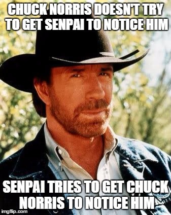 For anime fans
 | CHUCK NORRIS DOESN'T TRY TO GET SENPAI TO NOTICE HIM SENPAI TRIES TO GET CHUCK NORRIS TO NOTICE HIM | image tagged in chuck norris | made w/ Imgflip meme maker