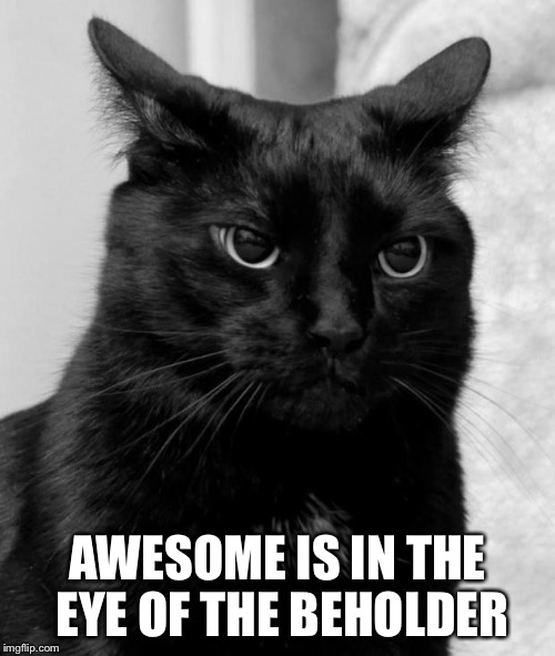 pissed cat | AWESOME IS IN THE EYE OF THE BEHOLDER | image tagged in pissed cat | made w/ Imgflip meme maker