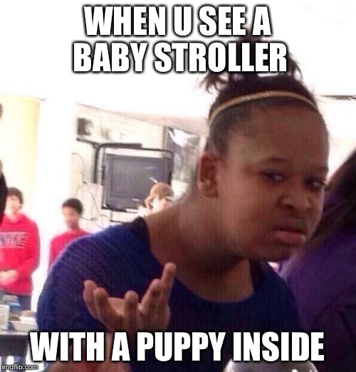Black Girl Wat Meme | WHEN U SEE A BABY STROLLER WITH A PUPPY INSIDE | image tagged in memes,black girl wat | made w/ Imgflip meme maker