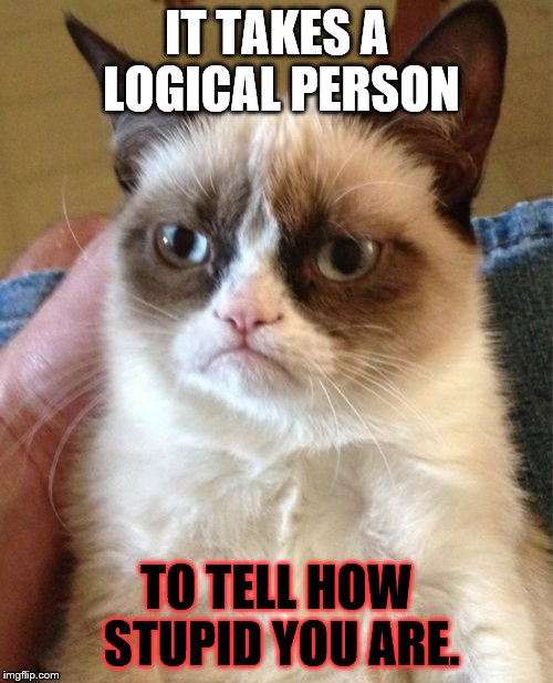 Grumpy Cat Meme | IT TAKES A LOGICAL PERSON TO TELL HOW STUPID YOU ARE. | image tagged in memes,grumpy cat | made w/ Imgflip meme maker