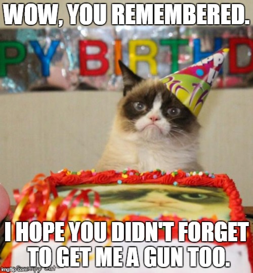 Grumpy Cat Birthday Meme | WOW, YOU REMEMBERED. I HOPE YOU DIDN'T FORGET TO GET ME A GUN TOO. | image tagged in memes,grumpy cat birthday | made w/ Imgflip meme maker