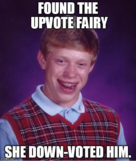 Bad Luck Brian | FOUND THE UPVOTE FAIRY SHE DOWN-VOTED HIM. | image tagged in memes,bad luck brian | made w/ Imgflip meme maker