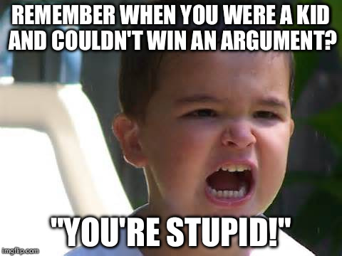 REMEMBER WHEN YOU WERE A KID AND COULDN'T WIN AN ARGUMENT? "YOU'RE STUPID!" | image tagged in liberals | made w/ Imgflip meme maker