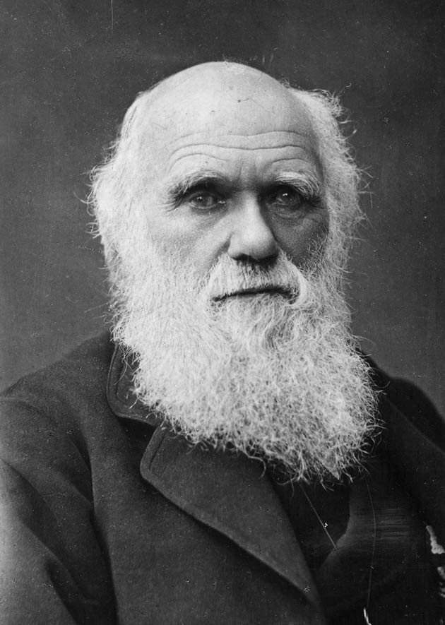 Darwin Blank Meme Template