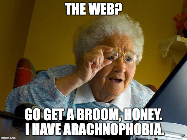 Grandma Finds The Internet | THE WEB? GO GET A BROOM, HONEY. I HAVE ARACHNOPHOBIA. | image tagged in memes,grandma finds the internet | made w/ Imgflip meme maker