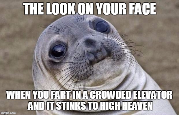 Awkward Moment Sealion | THE LOOK ON YOUR FACE WHEN YOU FART IN A CROWDED ELEVATOR AND IT STINKS TO HIGH HEAVEN | image tagged in memes,awkward moment sealion | made w/ Imgflip meme maker