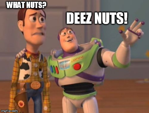 So stupid..... | WHAT NUTS? DEEZ NUTS! | image tagged in memes,x x everywhere | made w/ Imgflip meme maker