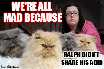 WE'RE ALL MAD BECAUSE RALPH DIDN'T SHARE HIS ACID | image tagged in funny,cats | made w/ Imgflip meme maker