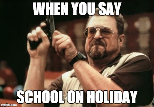Am I The Only One Around Here Meme | WHEN YOU SAY SCHOOL ON HOLIDAY | image tagged in memes,am i the only one around here | made w/ Imgflip meme maker