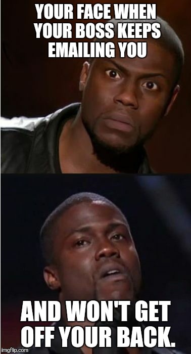 kevin hart reaction | YOUR FACE WHEN YOUR BOSS KEEPS EMAILING YOU AND WON'T GET OFF YOUR BACK. | image tagged in kevin hart reaction | made w/ Imgflip meme maker