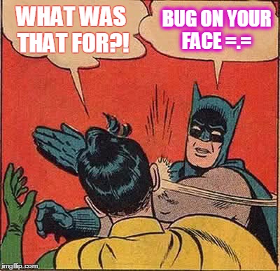 Batman Slapping Robin | WHAT WAS THAT FOR?! BUG ON YOUR FACE =.= | image tagged in memes,batman slapping robin | made w/ Imgflip meme maker