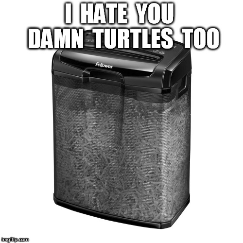 Shredder | I  HATE  YOU  DAMN  TURTLES  TOO | image tagged in teenage mutant ninja turtles,shredder | made w/ Imgflip meme maker