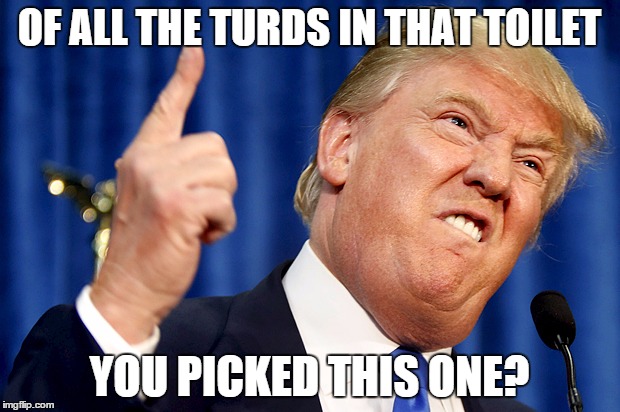 Donald Trump | OF ALL THE TURDS IN THAT TOILET YOU PICKED THIS ONE? | image tagged in donald trump | made w/ Imgflip meme maker