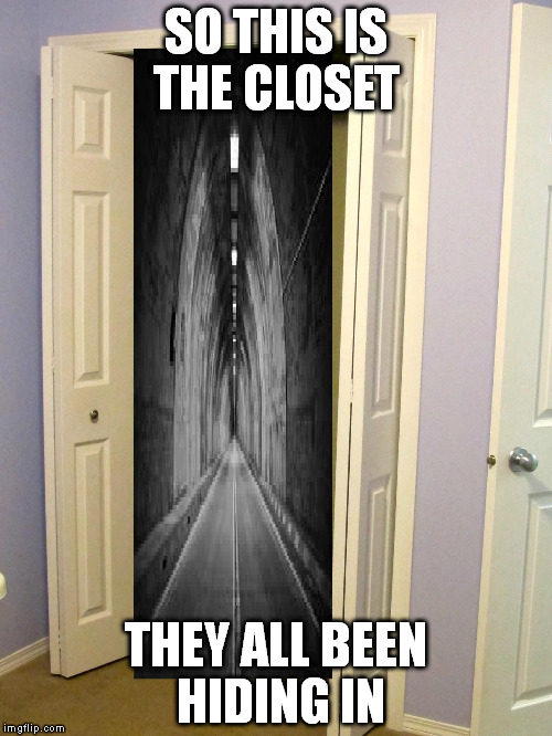 never ending | SO THIS IS THE CLOSET THEY ALL BEEN HIDING IN | image tagged in gay | made w/ Imgflip meme maker