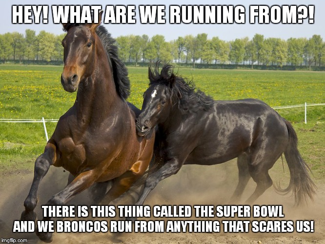 HEY! WHAT ARE WE RUNNING FROM?! THERE IS THIS THING CALLED THE SUPER BOWL AND WE BRONCOS RUN FROM ANYTHING THAT SCARES US! | image tagged in broncos,nfl,football | made w/ Imgflip meme maker