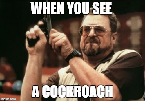 Am I The Only One Around Here Meme | WHEN YOU SEE A COCKROACH | image tagged in memes,am i the only one around here | made w/ Imgflip meme maker