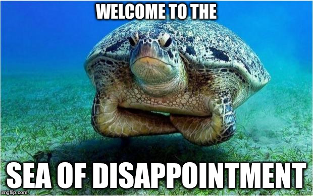 Disappointed turtle | WELCOME TO THE SEA OF DISAPPOINTMENT | image tagged in disappointed turtle | made w/ Imgflip meme maker