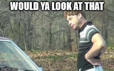 ed bassmaster would y alook at that | WOULD YA LOOK AT THAT | image tagged in ed bassmaster would y alook at that | made w/ Imgflip meme maker